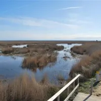 camping-torre-la-sal-i-ribera-de-cabanes-zk4gc