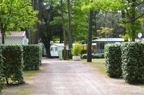 le-clos-des-pins-camping-longeville-sur-mer-aiieg