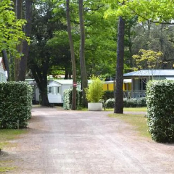 le-clos-des-pins-camping-longeville-sur-mer-aiieg