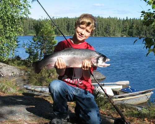 camping-fyrvpplingen-fiskecamp-stora-karbol-q91ry
