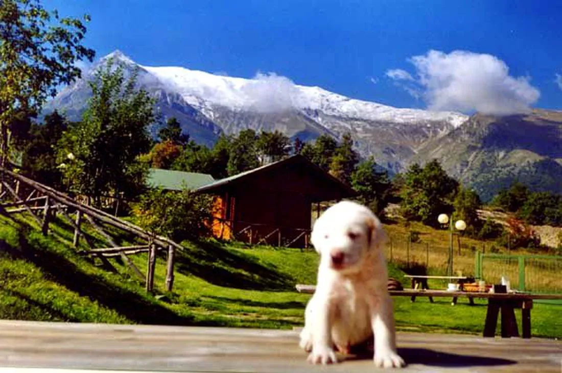 camping-vettore-montegallo-bhddw