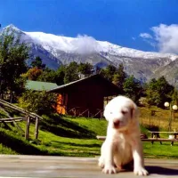 camping-vettore-montegallo-bhddw