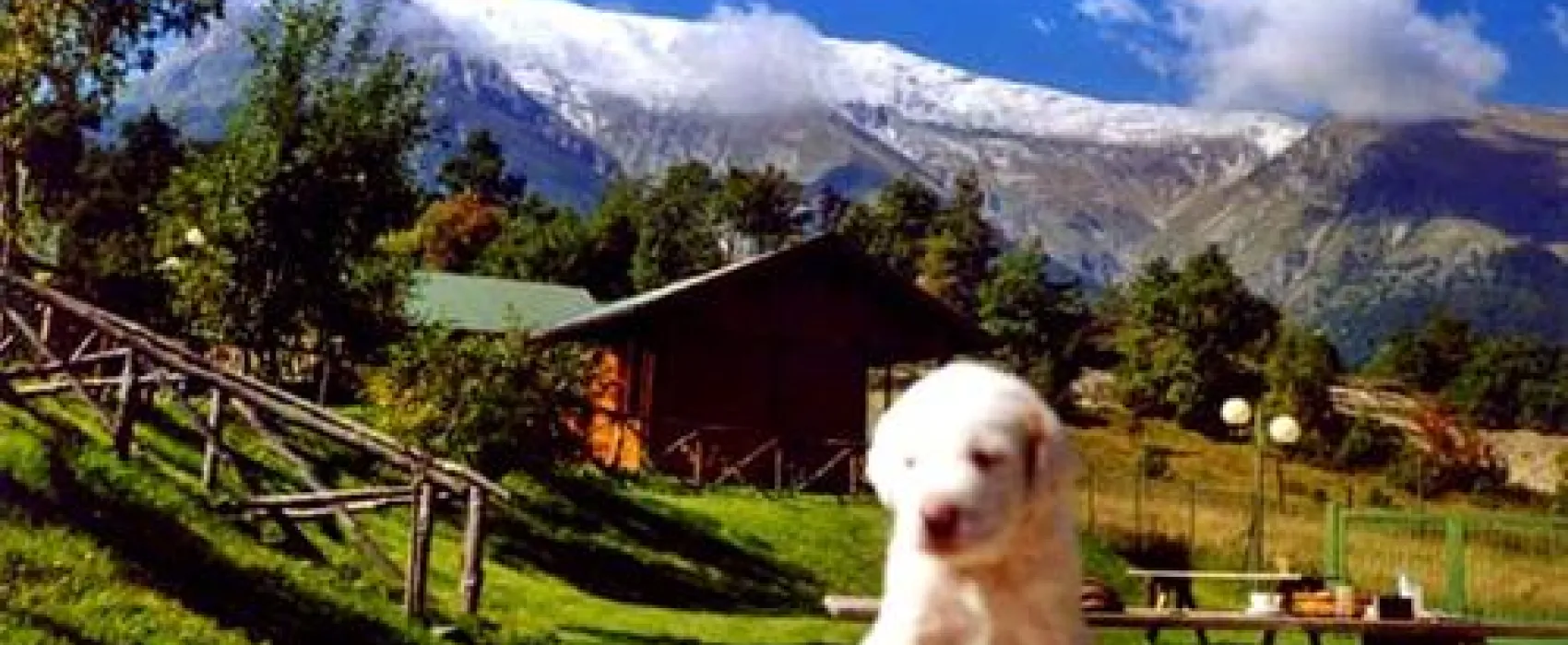 Camping Vettore