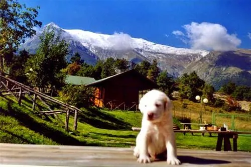 camping-vettore-montegallo-dotrb