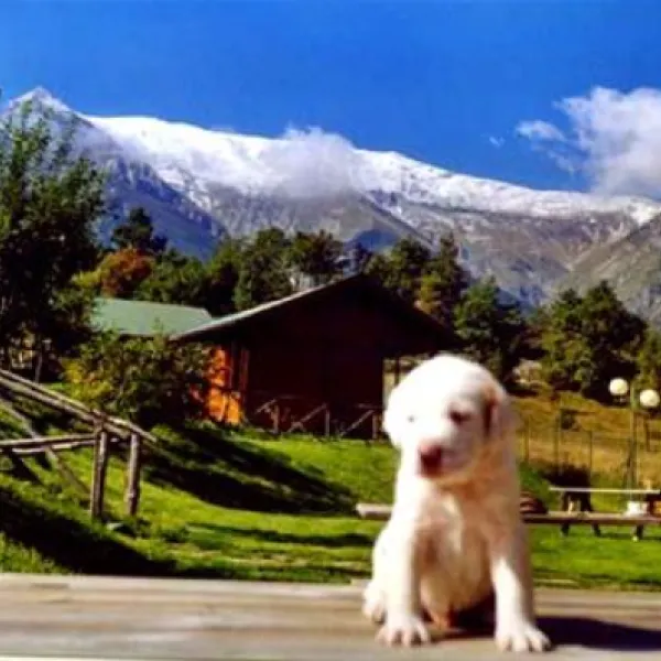 camping-vettore-montegallo-dotrb