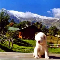Camping Vettore