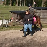 hendriks-wijkje-elim-1zbjl