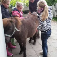 hendriks-wijkje-elim-ix7rs