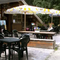 valle-verde-predazzo-yi2na