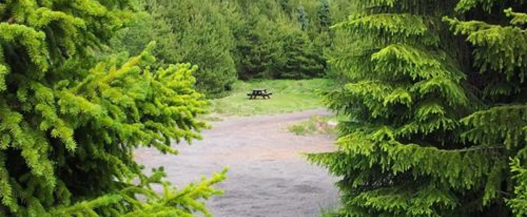 Holar campsite