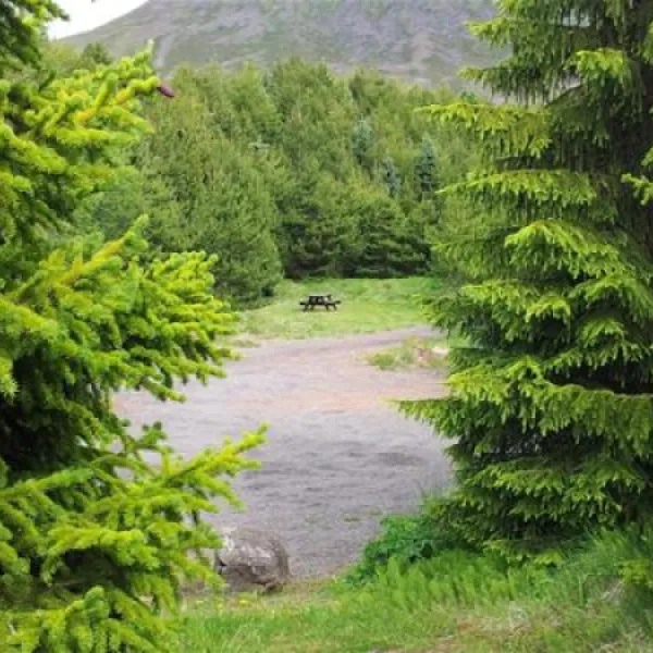 holar-campsite-hjaltadalur-lpuky