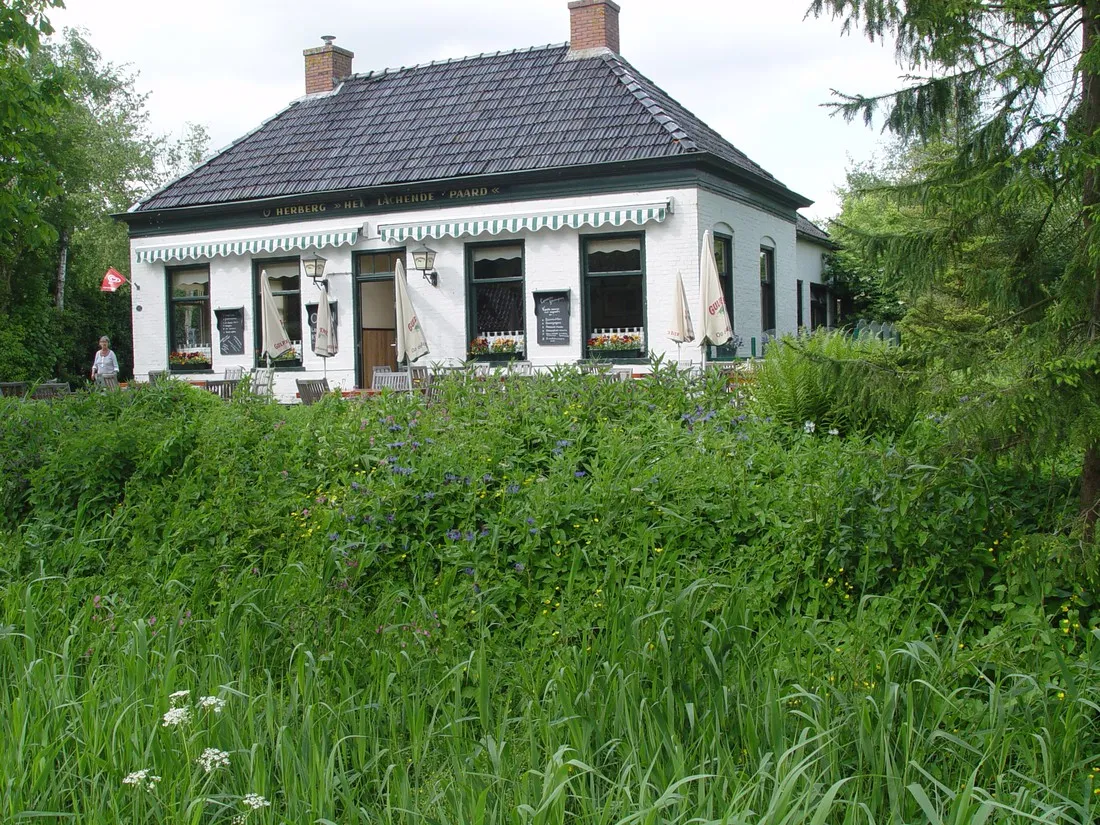 camping-lauwerszee-vierhuizen-2air0