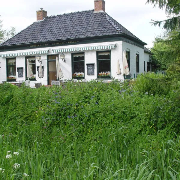 camping-lauwerszee-vierhuizen-2air0
