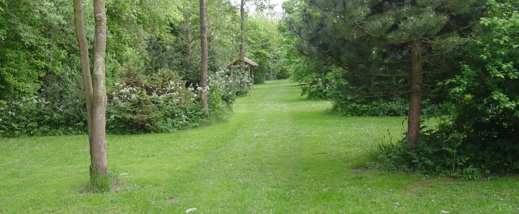 Camping Lauwerszee