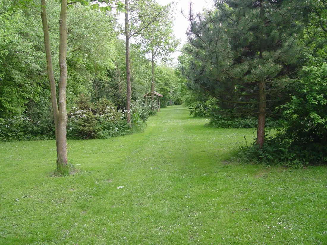 camping-lauwerszee-vierhuizen-itqbi