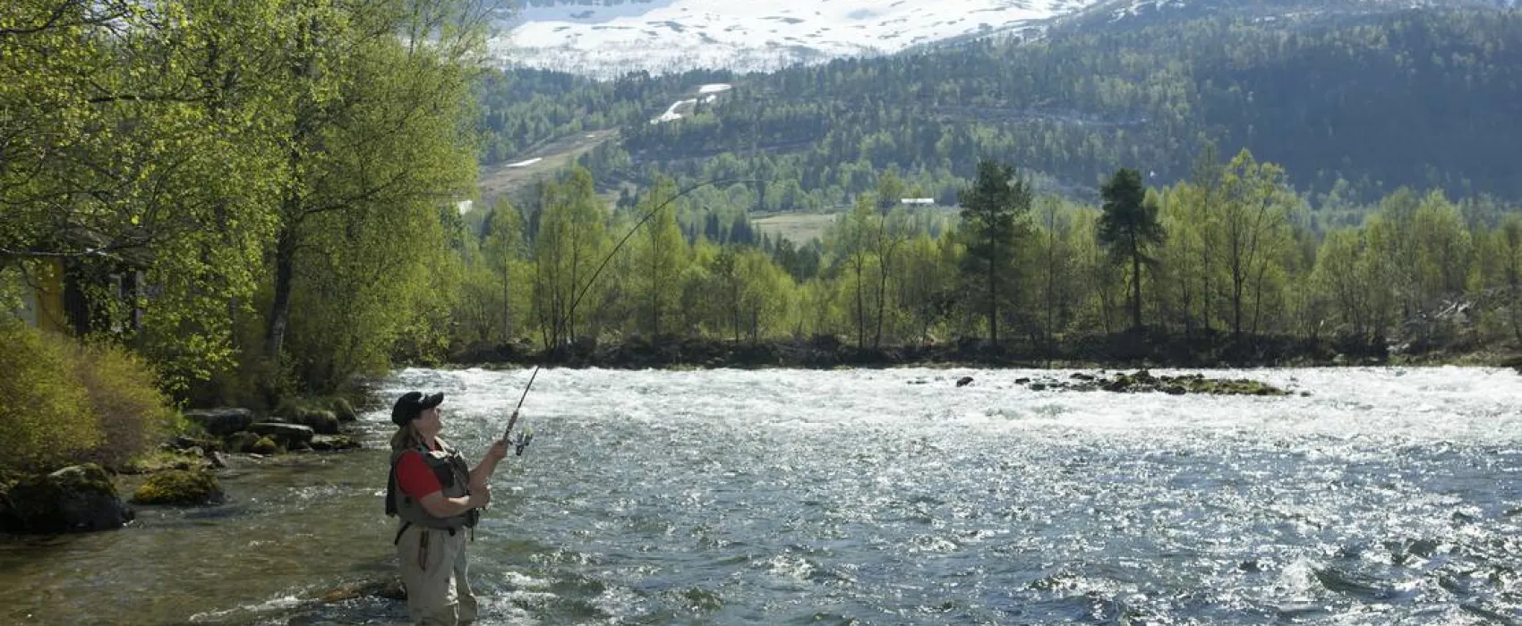 Pluscamp JølstraholmenCamping og Hytter
