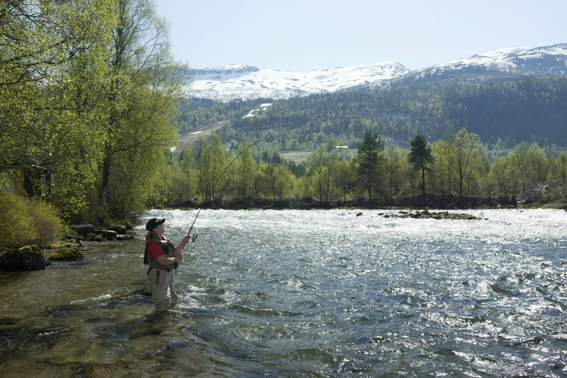pluscamp-jolstraholmencamping-og-hytter-vassenden-ifdez