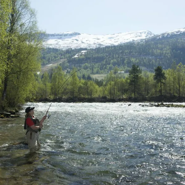 pluscamp-jolstraholmencamping-og-hytter-vassenden-ifdez