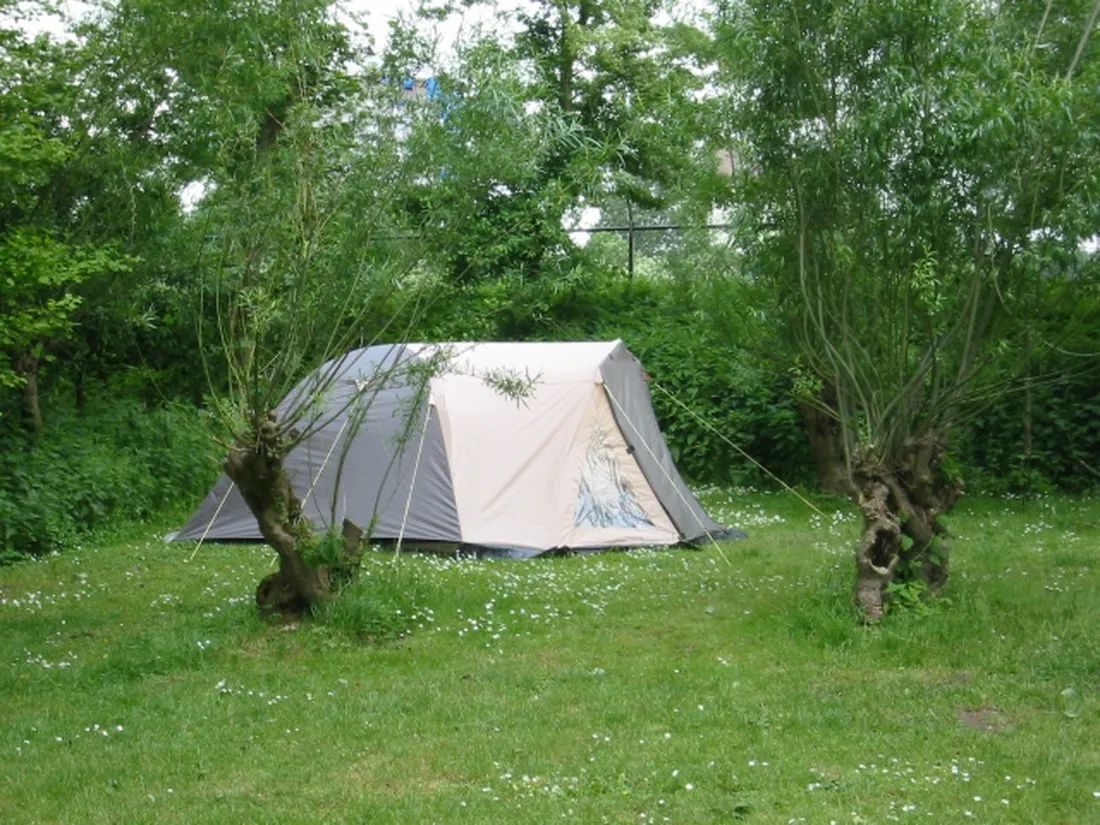 natuurkampeerterrein-de-kleine-rug-dordrecht-tteam