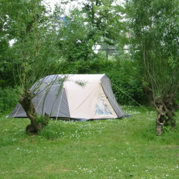 natuurkampeerterrein-de-kleine-rug-dordrecht-tteam