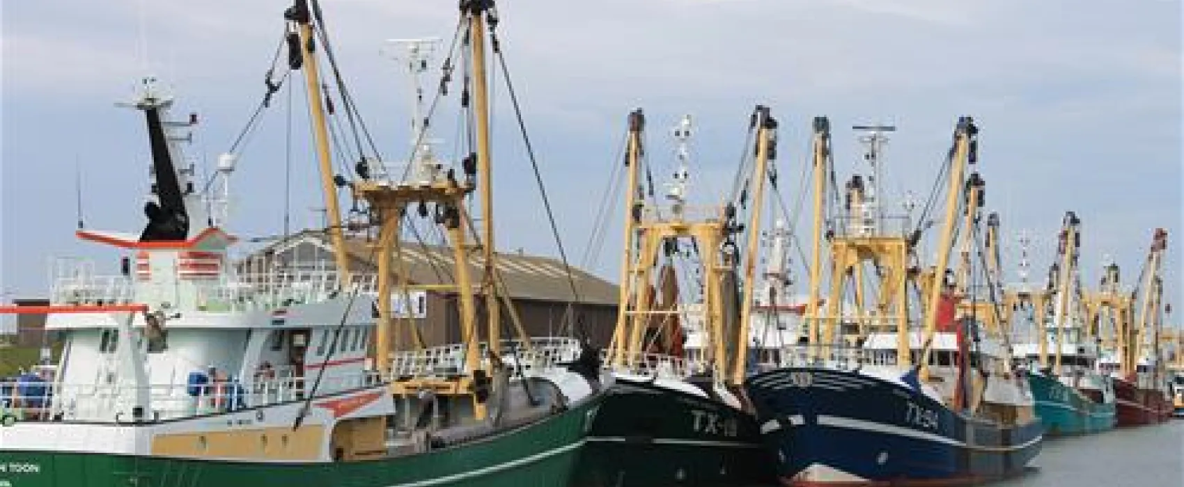Minicamping Hoeve Nieuw Breda