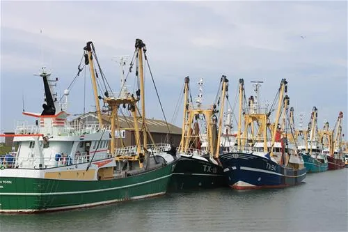 minicamping-hoeve-nieuw-breda-de-cocksdorp-qfgke