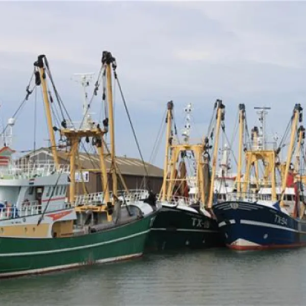 minicamping-hoeve-nieuw-breda-de-cocksdorp-qfgke
