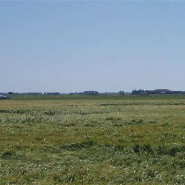 minicamping-hoeve-nieuw-breda-de-cocksdorp-ywhfh