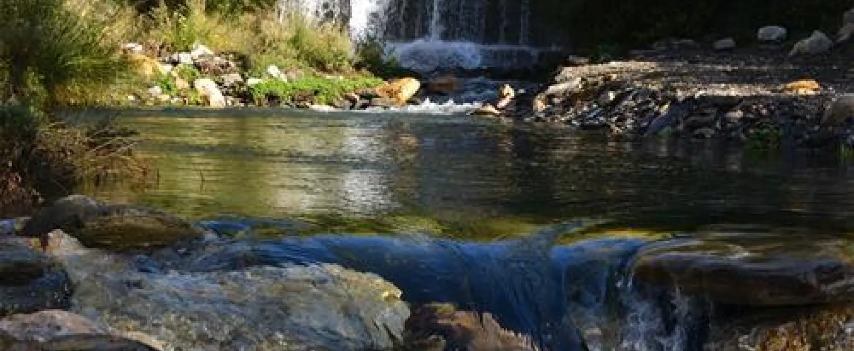 Camping la Molineta