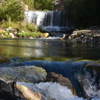 Camping la Molineta
