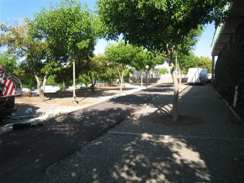 camping-el-pino-torrox-costa-3e4dj