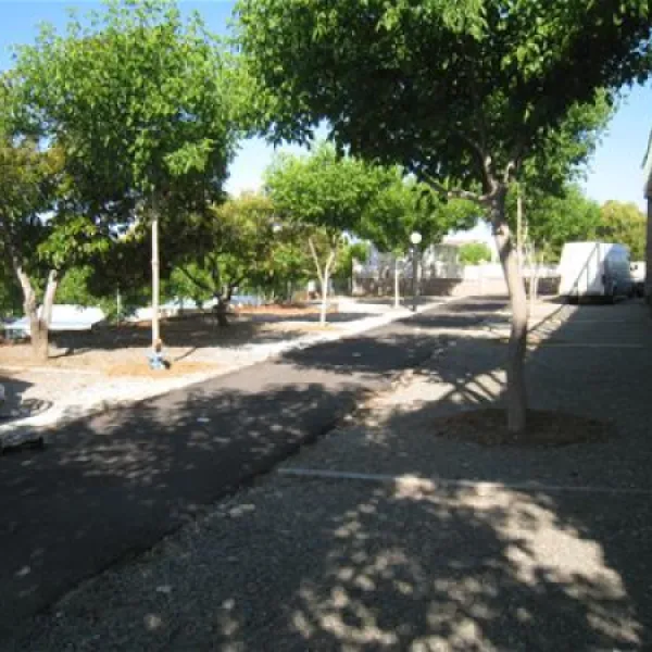 camping-el-pino-torrox-costa-3e4dj
