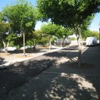 Camping el Pino