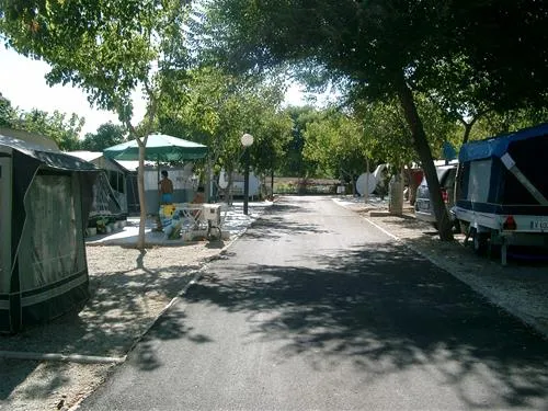 camping-el-pino-torrox-costa-8jz3i