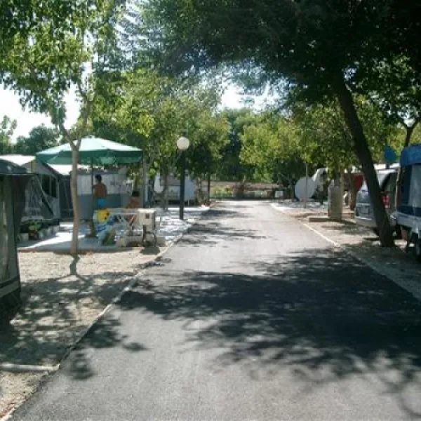camping-el-pino-torrox-costa-8jz3i