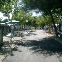 camping-el-pino-torrox-costa-8jz3i