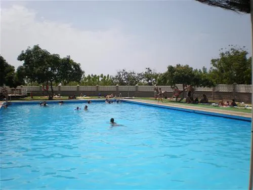 camping-el-pino-torrox-costa-ip18l