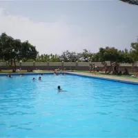 camping-el-pino-torrox-costa-ip18l