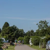 Nærum XII