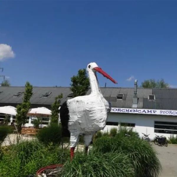 storchencamp-purbach-purbach-qyp4n