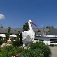 storchencamp-purbach-purbach-qyp4n