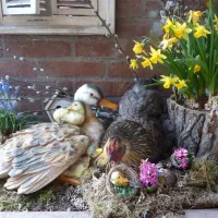 camping-de-boekel-akersloot-mzgcn