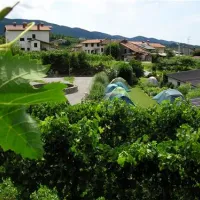 camping-saksida-dornberk-fvryi