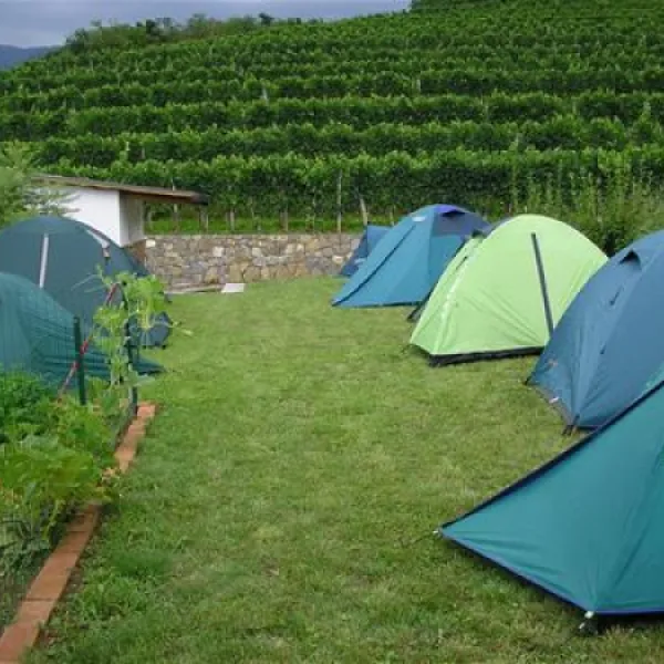 camping-saksida-dornberk-gfcvy