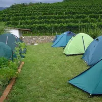 camping-saksida-dornberk-gfcvy