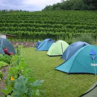 camping-saksida-dornberk-h9hlx