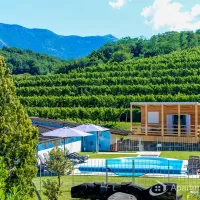 camping-saksida-dornberk-purvx