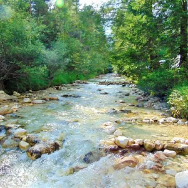 camping-winkllandthal-bischofswiesenwinkl-gkrbf