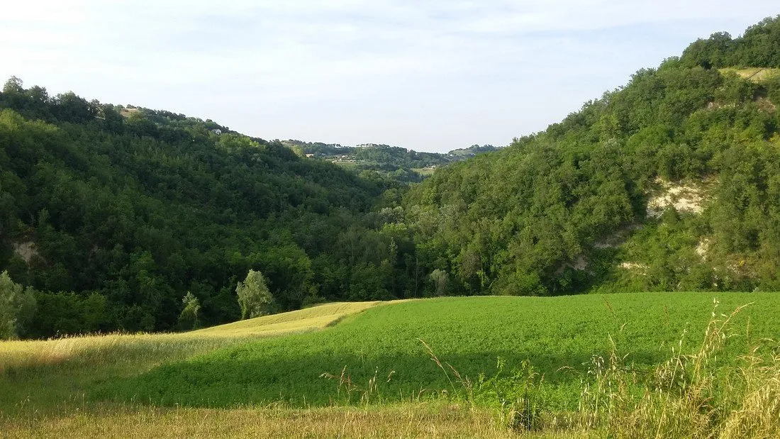 agricamp-picobello-montelparo-1gagc