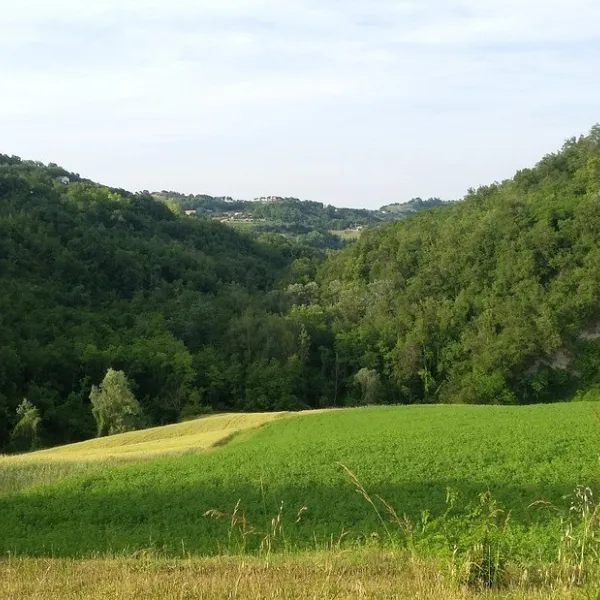 agricamp-picobello-montelparo-1gagc
